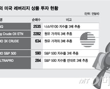 韓 2배·美 3배 최대한도로…'큰 지렛대' 든 간 큰 개미들