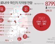 [사진] [그래픽] 코로나19 확진자 지역별 현황(21일 0시 기준)