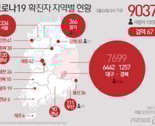 [사진] [그래픽] 코로나19 확진자 지역별 현황(24일 0시 기준)