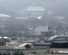 靑 간판 달고 "정부 수호"…너도나도 금배지 레이스