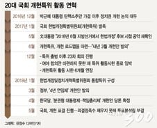 20대 국회 개헌특위 첫발…선거 득실 따지다 '제자리'