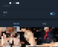 [단독] '유명 女아이돌 딥페이크' 텔레그램방 확인…경찰 "엄정 수사"