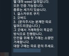 [단독]"대마·위드 팔아요"… 마약도 활개친 텔레그램 방 참여자 8600명