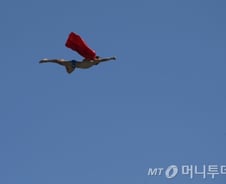 [이지경제] 갑자기 슈퍼맨 이주열