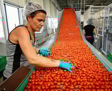 불법체류자는 코로나 구멍? 일자리에 영주권 받는다