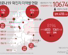 [사진] [그래픽] 코로나19  확진자 지역별 현황(20일)