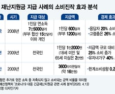 '25% 소비진작 효과' 재난지원금 신속 처리는 20대 국회 마지막 책무