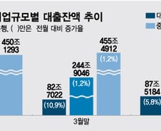 자영업자 대출 유도했더니… 창구에 대기업만 길게 줄 섰다