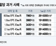 주파수 경매·재할당 울고 웃은 이통사들