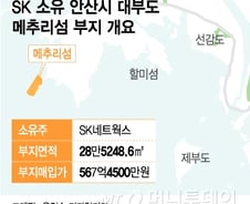 [단독]SK 소유 '대부도 메추리섬' 주인 바뀌나