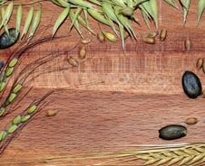 "현미는 괜찮겠지"는 착각…치매 피하려면 곡물 섭취를 줄여라