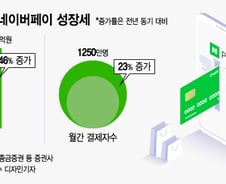 "네이버 거치지 않고 쇼핑하면 바보!"…이유는 '네이버페이'