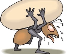 나홀로 증시 떠받치는 개미? "외국인이 사들인 종목도 있다"