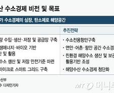 [단독]해양수소경제 청사진 나왔다…300만t 수소항만, 부·울·평 각축  