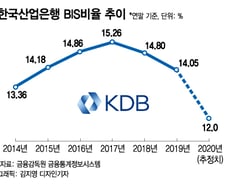[단독]산은, BIS비율 12% 위협…"6조 증자 필요"