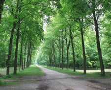 불행한가…하늘은 당신을 위한 다른 계획이 있다