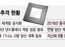 中 "D램 개발" 자신감…알고보니 삼성 인력 빼내기