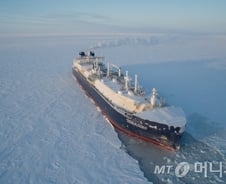 세계 LNG선 흔드는 '차이나 역습'...한국도 합병으로 몸집 키운다