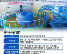'해저케이블 불모지' LS전선의 '글로벌 톱4' 10년 비결
