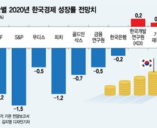 확실한 경기부양책 없이 올해 플러스 성장 가능할까?