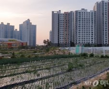 잘못 건드리면 '폭탄'..'갭투자' 못막는 정부의 딜레마