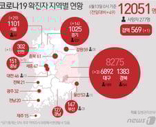 [사진] [그래픽] 코로나19 확진자 지역별 현황(13일)