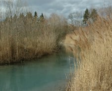 당신이 지금 약하고 초라한 진짜 이유[줄리아 투자노트]
