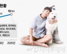 "펫보험 팔수록 손해"…동물병원 치료비, 보험사도 두렵다