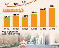 진료비 때문에…작년 반려동물 13만 마리 버렸다