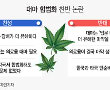 "해외에선 기호식품인데…" 계속되는 대마 합법화 논란