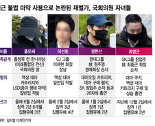 "그들만의 특별한 놀이"…재벌 3세가 마약하는 이유