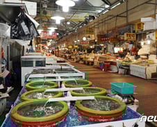 [르포]'주말 손님 3명' 코로나 강타한 전통시장…"다 버려야할 판"