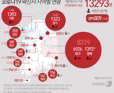 [사진] [그래픽] 코로나19 확진자 지역별 현황(9일)