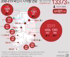 [사진] [그래픽] 코로나19 확진자 지역별 현황(11일)