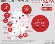 [사진] [그래픽] 코로나19 확진자 지역별 현황(13일)