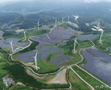 국내 최대 '태양광숲'으로, 한우목장의 변신