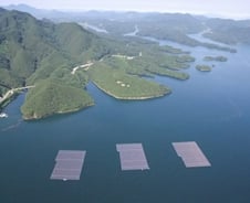 물 위에 태양광 발전소…'수상태양광'도 뜬다