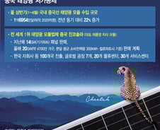 태양광도 中 '치킨게임'…韓 고효율 솔루션 승부수