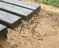 [르포] 산 오르자 나뭇가지가 꿈틀, 그것들은 다 벌레였다