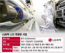 [단독]LG 1.3조 편광판 사업 中매각 정부 손에 달렸다 