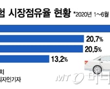 [단독]DB손보도 논의 중단…네이버 차보험 비교 무산되나