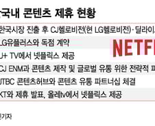 스마트폰 이어 안방·거실까지 점령한 넷플릭스