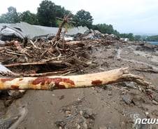 '104㎜' 안성 일죽면 초토화…"나무가 집을 뚫고 지나갔지"