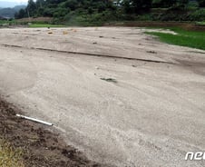 [르포] "과수화상병 상처 아직인데" 폭우에 시름 깊어진 농심(農心)