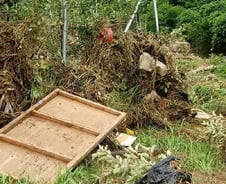 [르포]"수확이 코앞인데 하늘도 무심" 폭우가 할퀸 농심