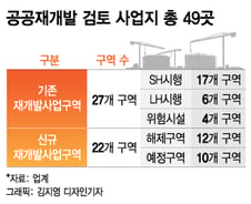 [단독]동대문·종로등 공공재개발 후보지 49곳 압축…다음주 설명회
