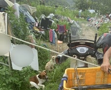 쓰레기 가득한 집에, '강아지'들이 있었다[르포]