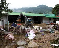 [르포] "매실·사과는 오간데 없고…과수원이 자갈밭으로"
