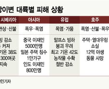 대홍수·폭염·슈퍼태풍…지구의 복수가 시작됐다