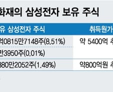 삼성전자만한 곳 있을까…깊어지는 삼성생명의 고민